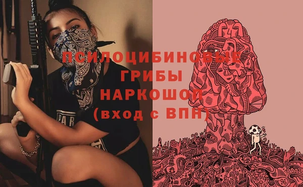 индика Алексин
