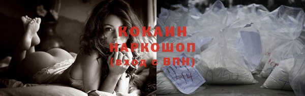 индика Алексин