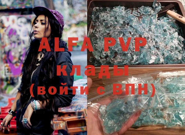индика Алексин