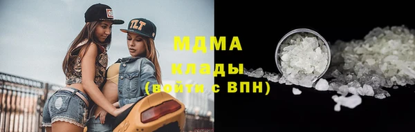 индика Алексин