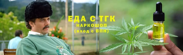 индика Алексин