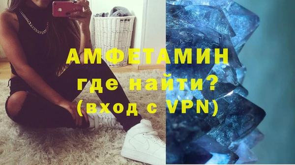 индика Алексин