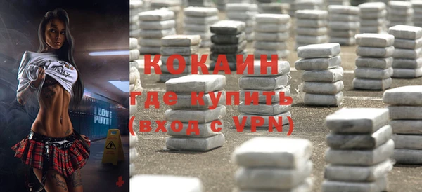 индика Алексин