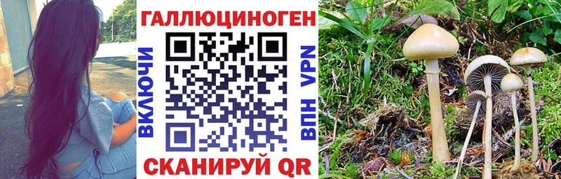 Псилоцибиновые грибы MAGIC MUSHROOMS  ссылка на мегу как войти  Островной 